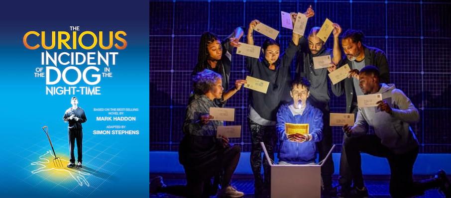 The Curious Incident of the Dog in the Night-Time at Festival Theatre